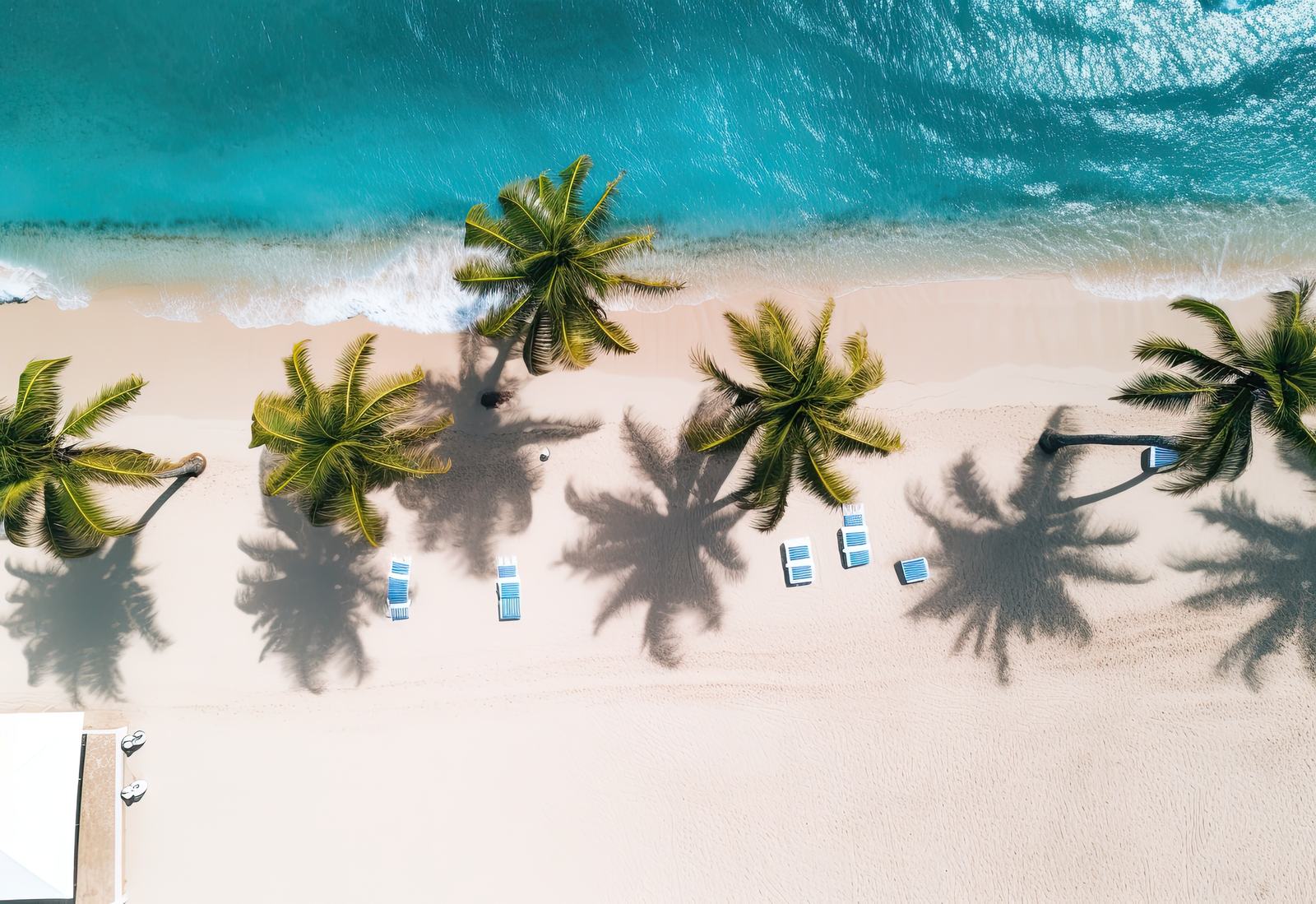 Palms and sun loungers on white sand seen from directly above, surf washing the shore.