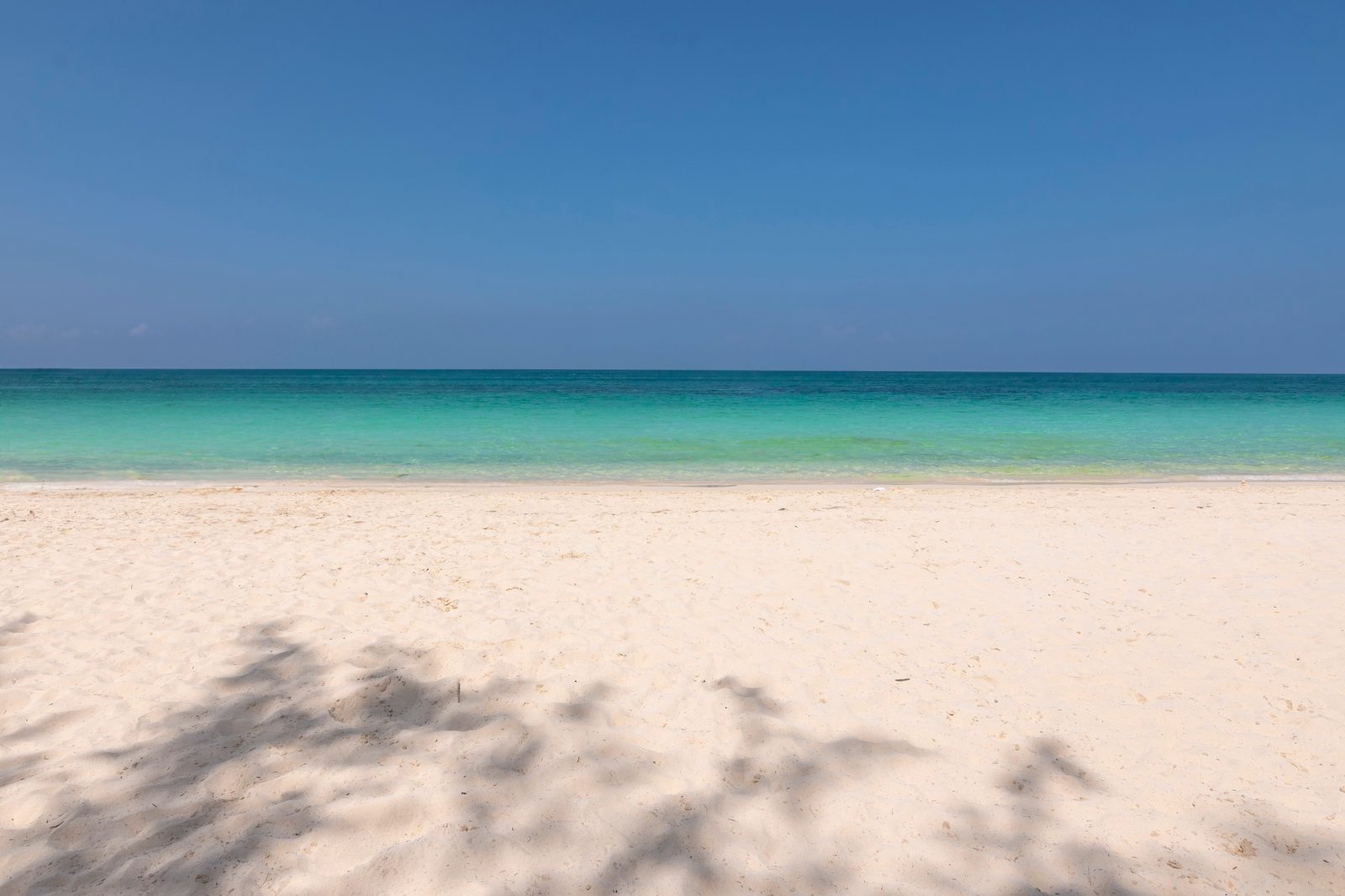 A wide, empty stretch of White Beach: clear turquoise water, fine pale sand, a tree&rsquo;s shadow across the foreground.
