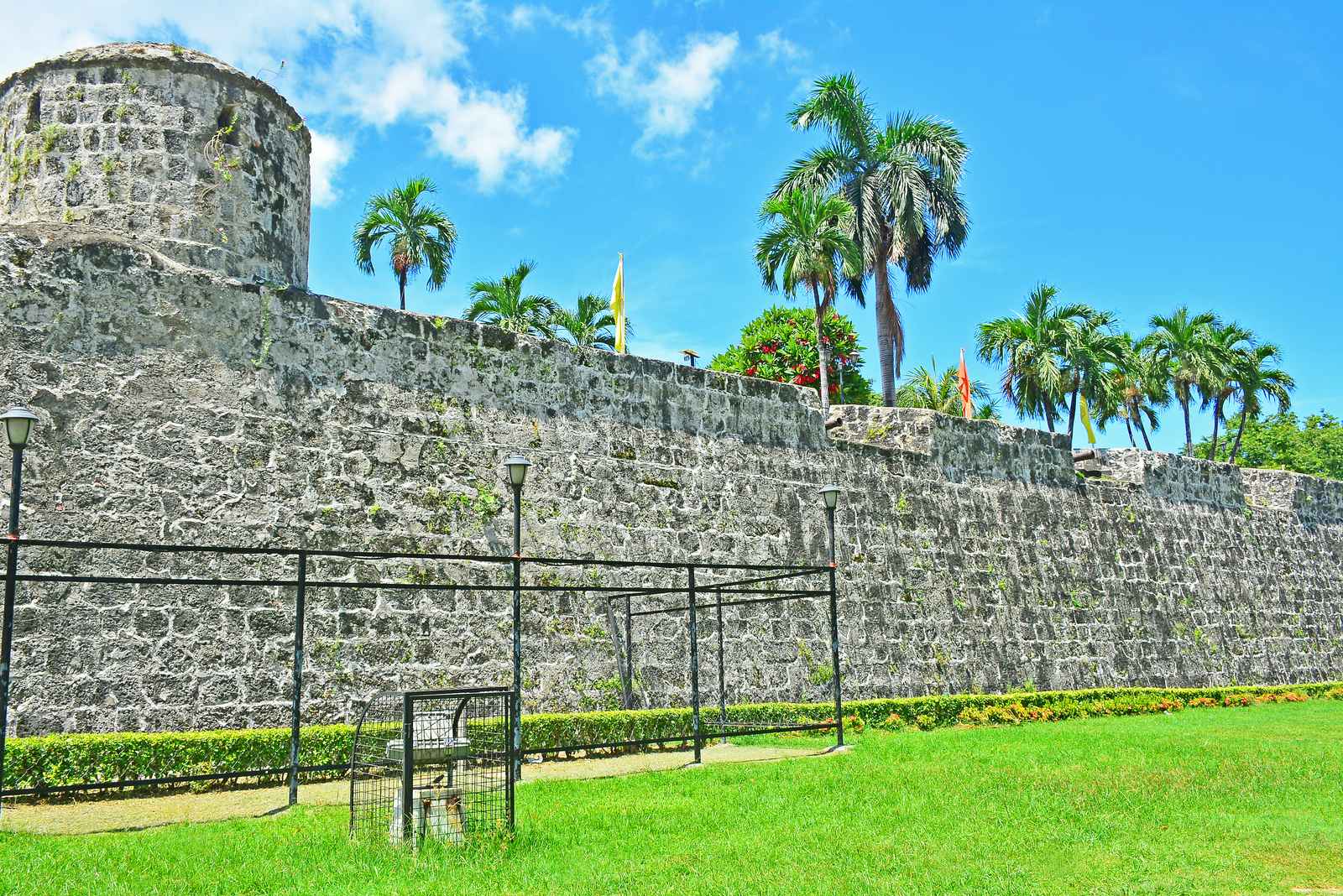 Fort San Pedro&rsquo;s coral-stone walls under palms, lawn in the foreground.